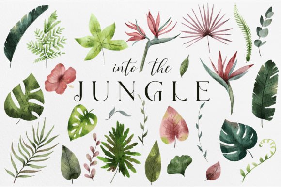 Download Tropical Plants Watercolor Illustrations - Tropical plants Collection