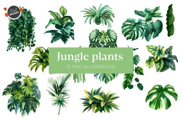 Download Jungle Tropical Plants - Tropical plants Collection