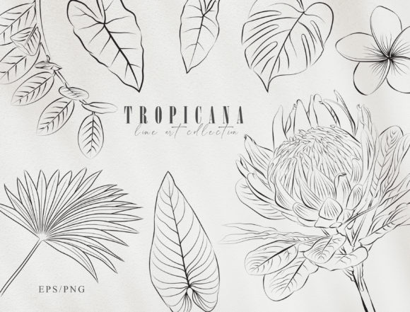 Download Line Art Tropical Plants Clipart Set - Tropical plants Collection